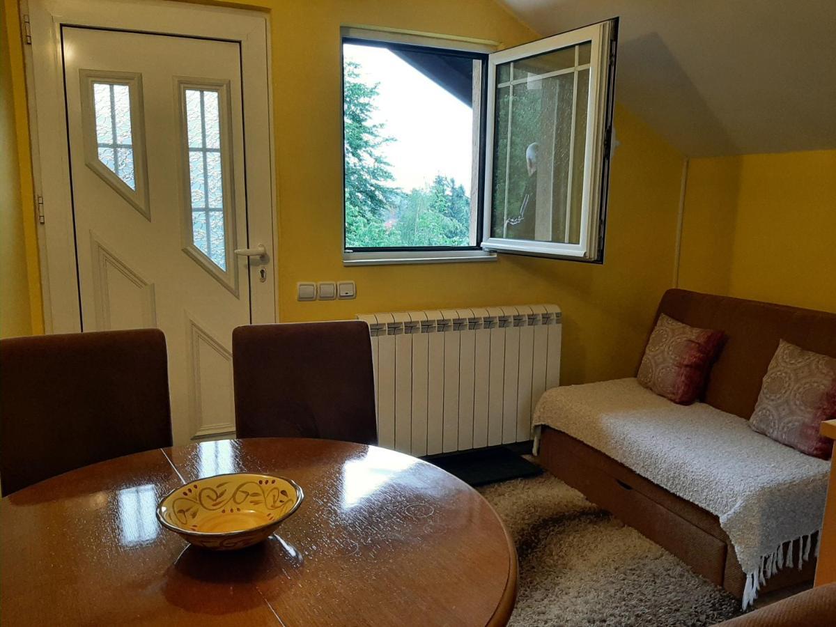 Apartments Junior Zlatibor Exterior photo
